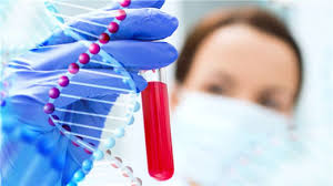 DNA亲子鉴定实验
